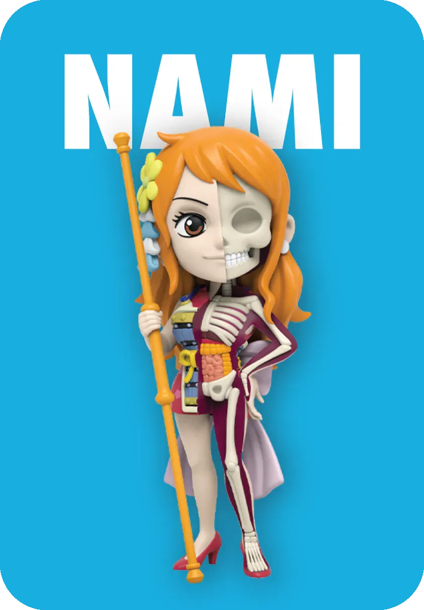 Freeny's Hidden Dissectibles: One Piece (Ladies Edition)