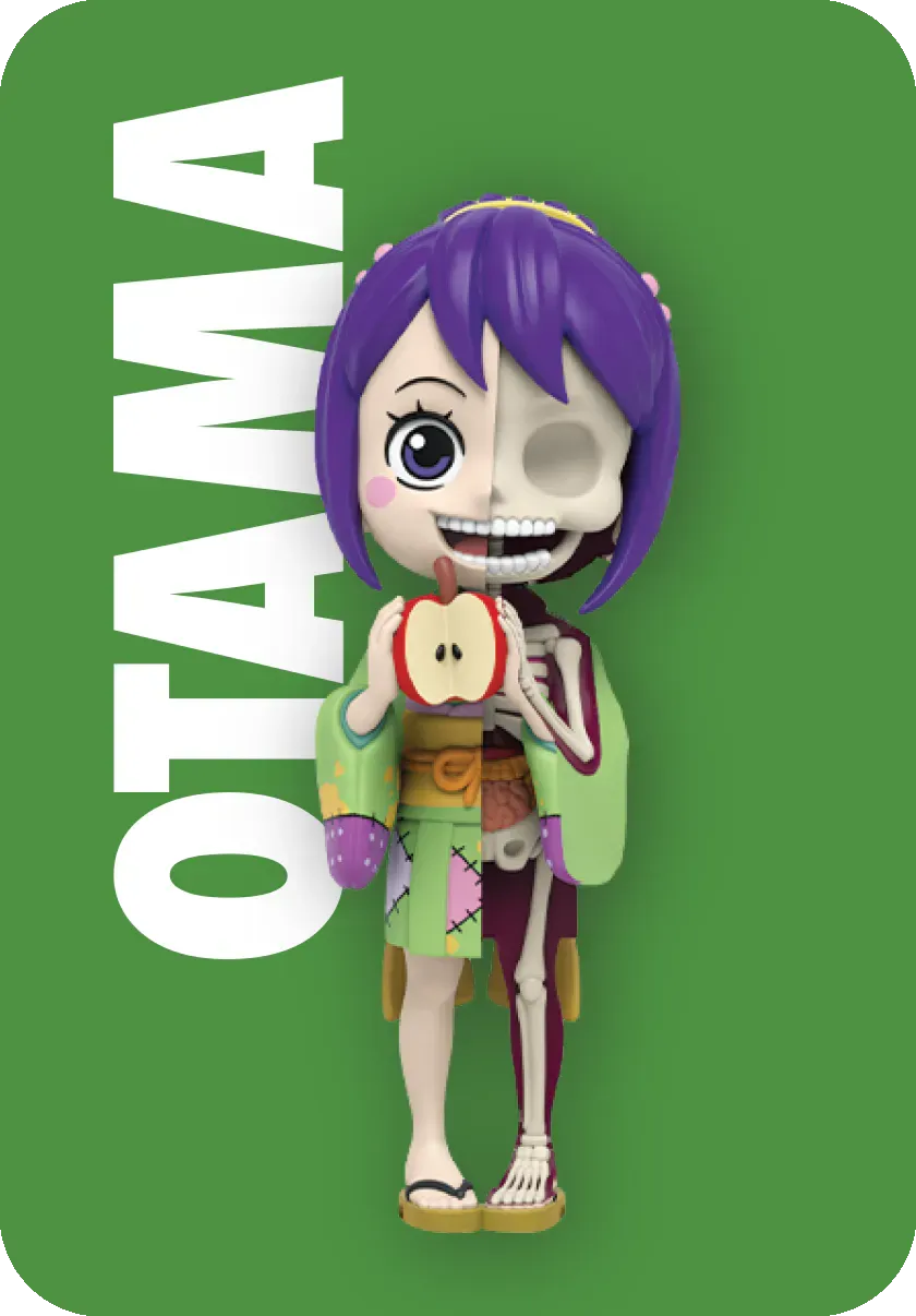 Freeny's Hidden Dissectibles: One Piece (Ladies Edition)