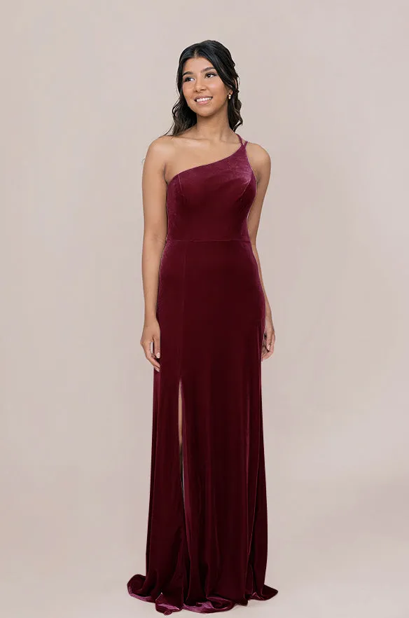 Inez Velvet Dress | Made To Order