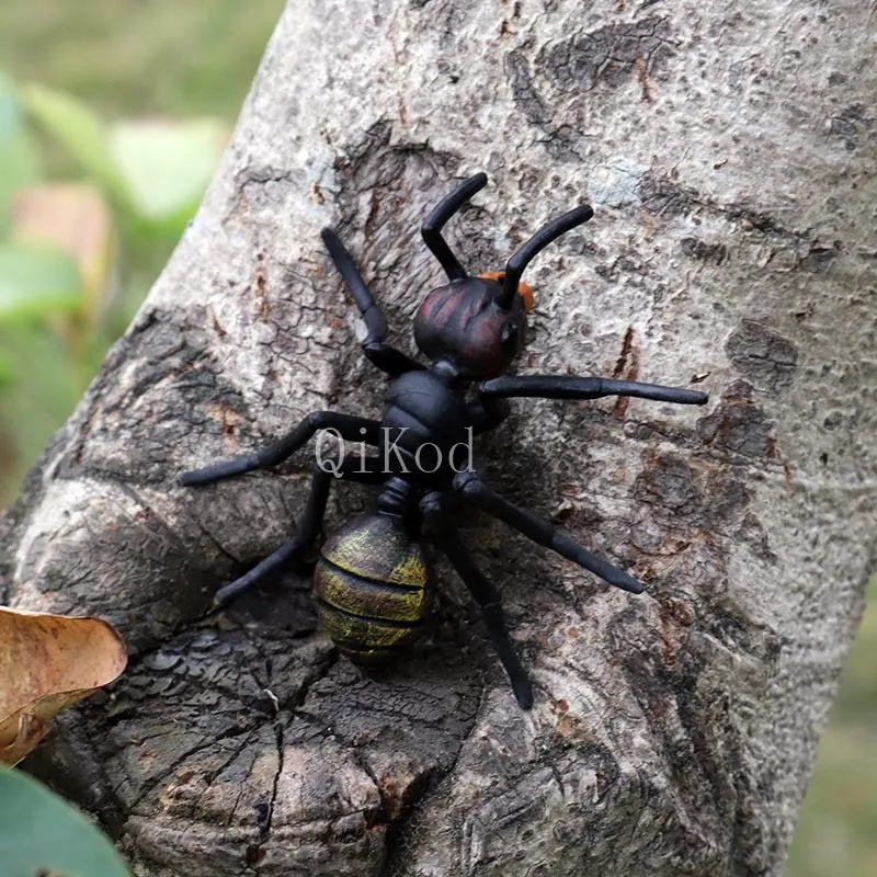 Worker Ant Animals Simulation Nest Growth Cycle Life Action Figures Figurine Miniature Baby Educational Cute Model Teaching Kids