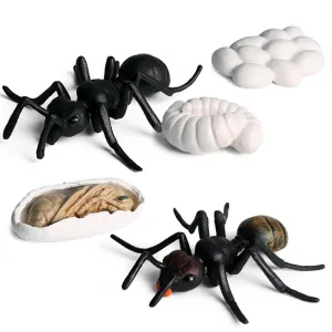 Worker Ant Animals Simulation Nest Growth Cycle Life Action Figures Figurine Miniature Baby Educational Cute Model Teaching Kids